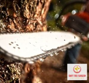 Emergency Kettering Tree Surgery