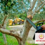 Kettering Tree Pruning Contact us