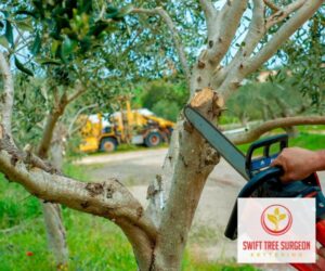 Kettering Tree Pruning Contact us
