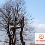 Kettering Tree Pruning Customer Satisfaction
