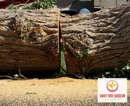 Kettering Tree Removal Equipment