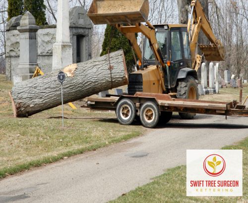 Kettering Tree Removal Request a Free Quote