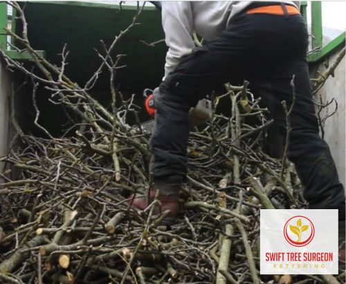 Kettering Tree Removal NN16