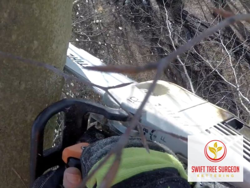 Kettering Tree Surgeon NN16