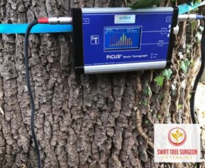 Kettering Tree Survey NN16