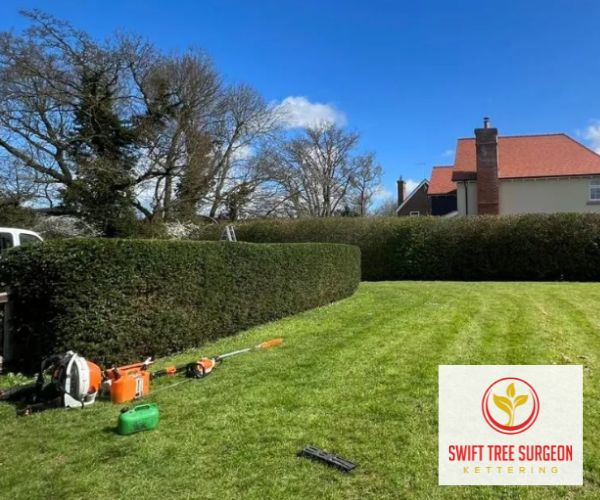 NN16 Kettering Tree Pruning