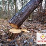 Professional approach