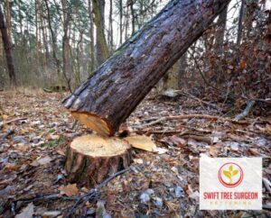 Professional approach