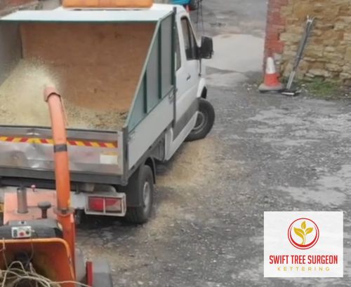 Tree Removal Kettering