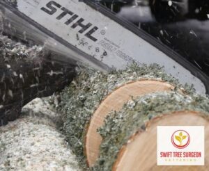 Tree Removal Kettering NN16