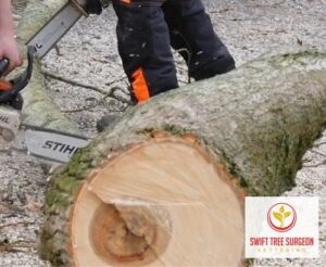 Tree Removal Kettering Northamptonshire