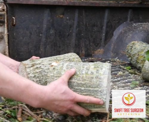 Tree Removal NN16 Kettering