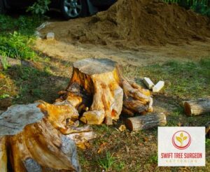Tree Stump Removal Local Arborist