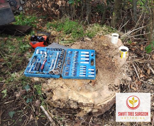 Tree Stump Removal Kettering