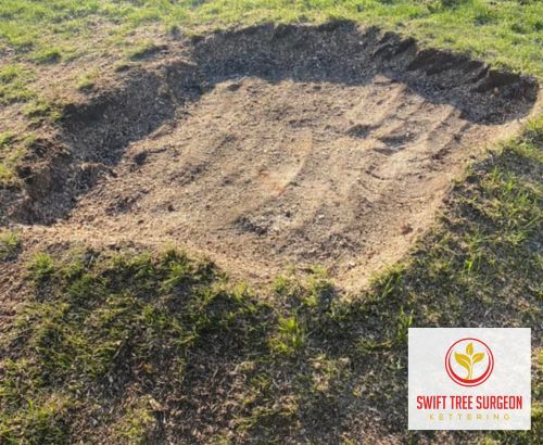 Tree Stump Removal NN16 Kettering