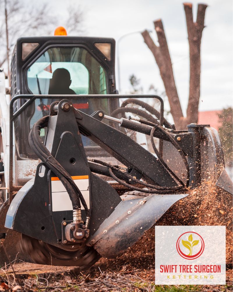 Tree Surgeon Kettering Commercial faq