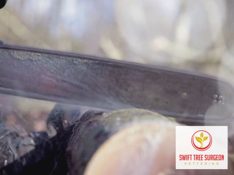 Tree Surgeons Kettering NN16